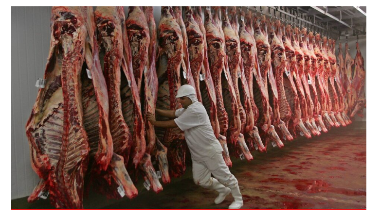 Turquía auditará industrias paraguayas en agosto para completar la apertura de carne bovina